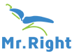 Mr Right Dental Chair